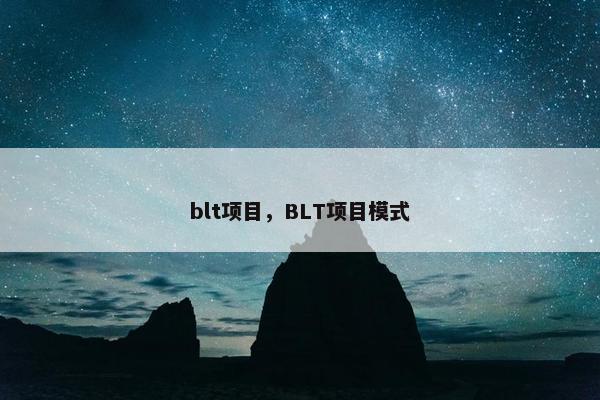 blt项目，BLT项目模式