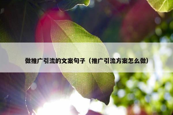 做推广引流的文案句子（推广引流方案怎么做）