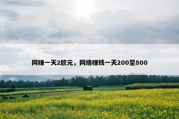 网赚一天2欧元，网络赚钱一天200至800