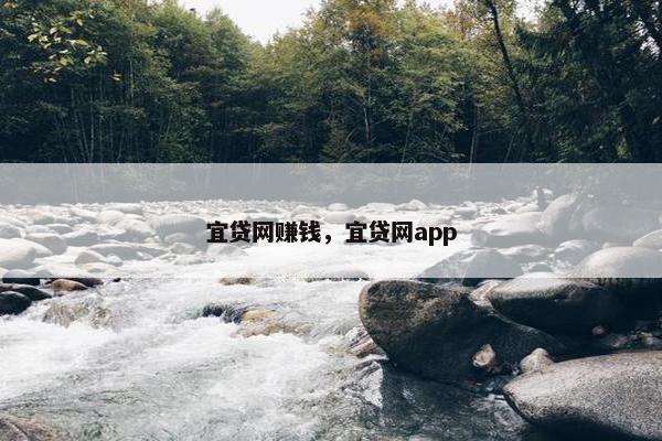 宜贷网赚钱，宜贷网app