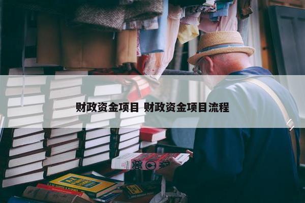 财政资金项目 财政资金项目流程