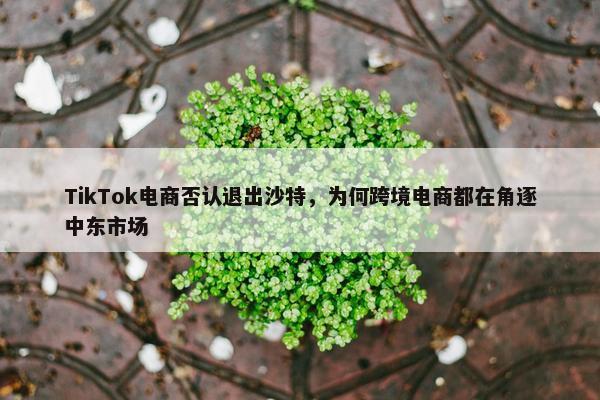 TikTok电商否认退出沙特，为何跨境电商都在角逐中东市场