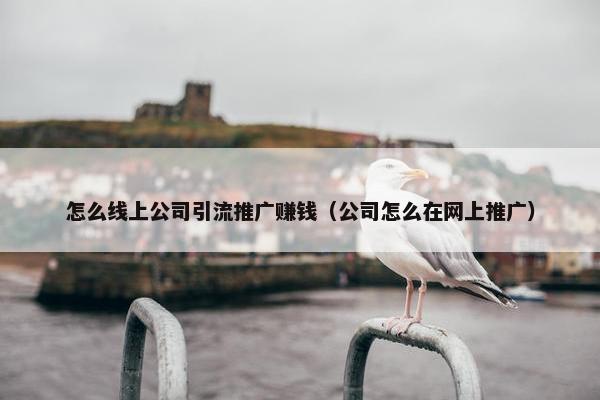 怎么线上公司引流推广赚钱（公司怎么在网上推广）