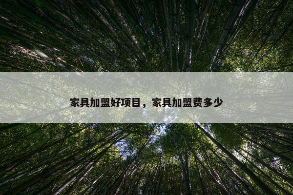 家具加盟好项目，家具加盟费多少