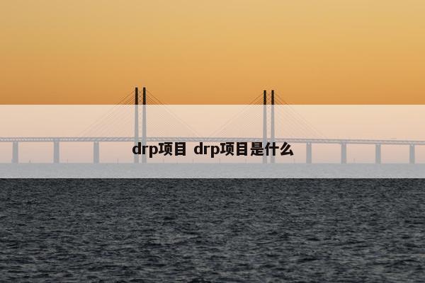 drp项目 drp项目是什么