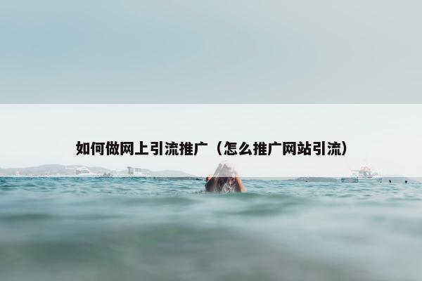 如何做网上引流推广（怎么推广网站引流）