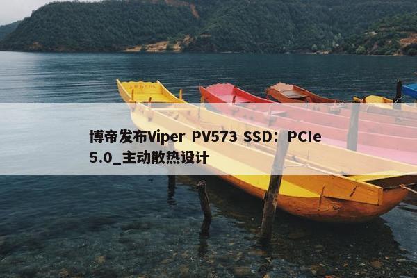 博帝发布Viper PV573 SSD：PCIe 5.0_主动散热设计