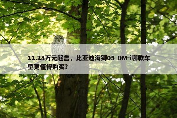 11.28万元起售，比亚迪海狮05 DM-i哪款车型更值得购买？