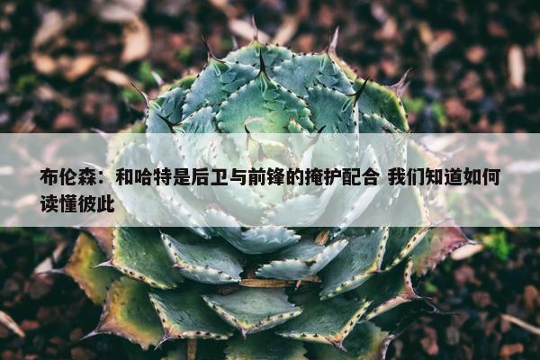 布伦森：和哈特是后卫与前锋的掩护配合 我们知道如何读懂彼此